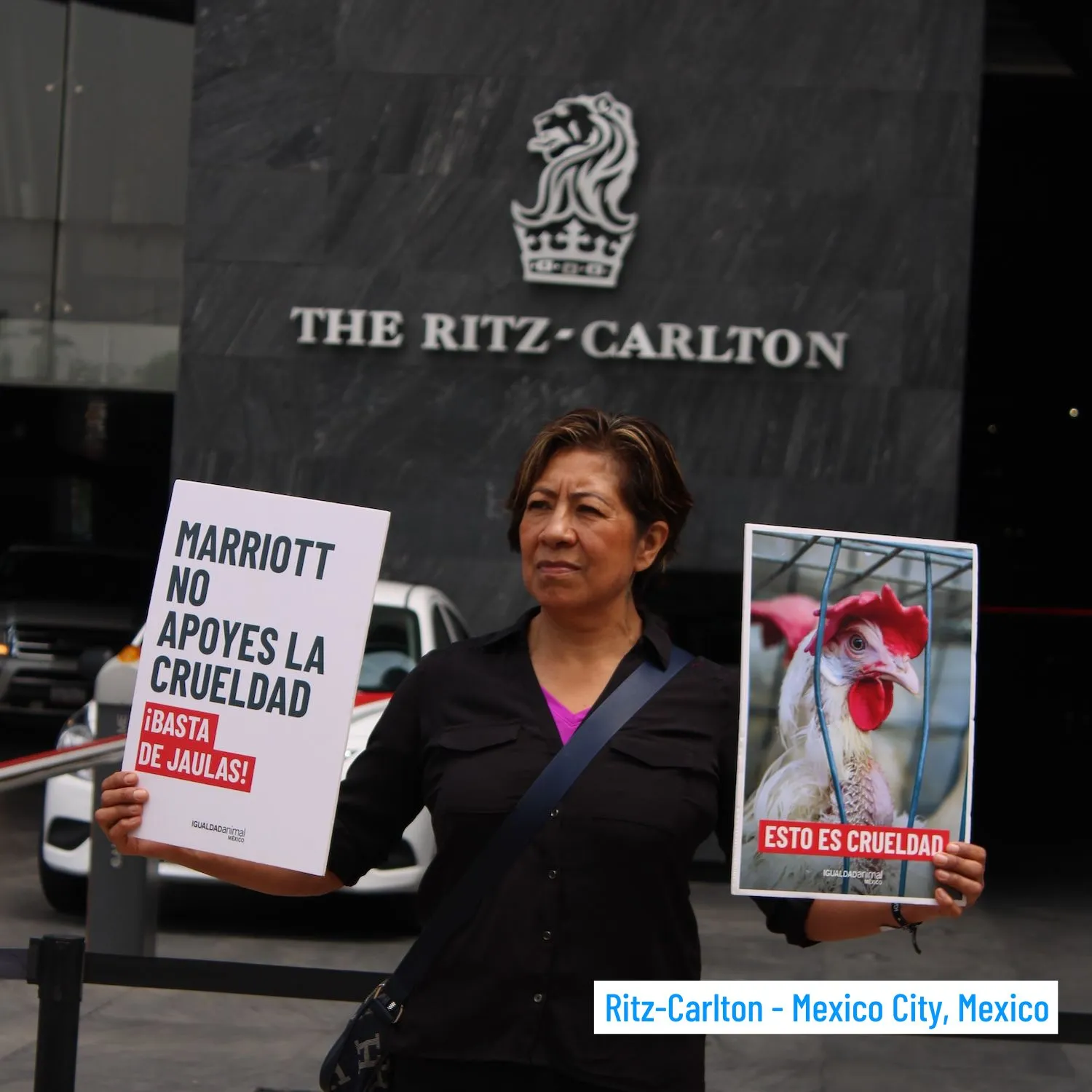 Ritz-carlton-1500x1500