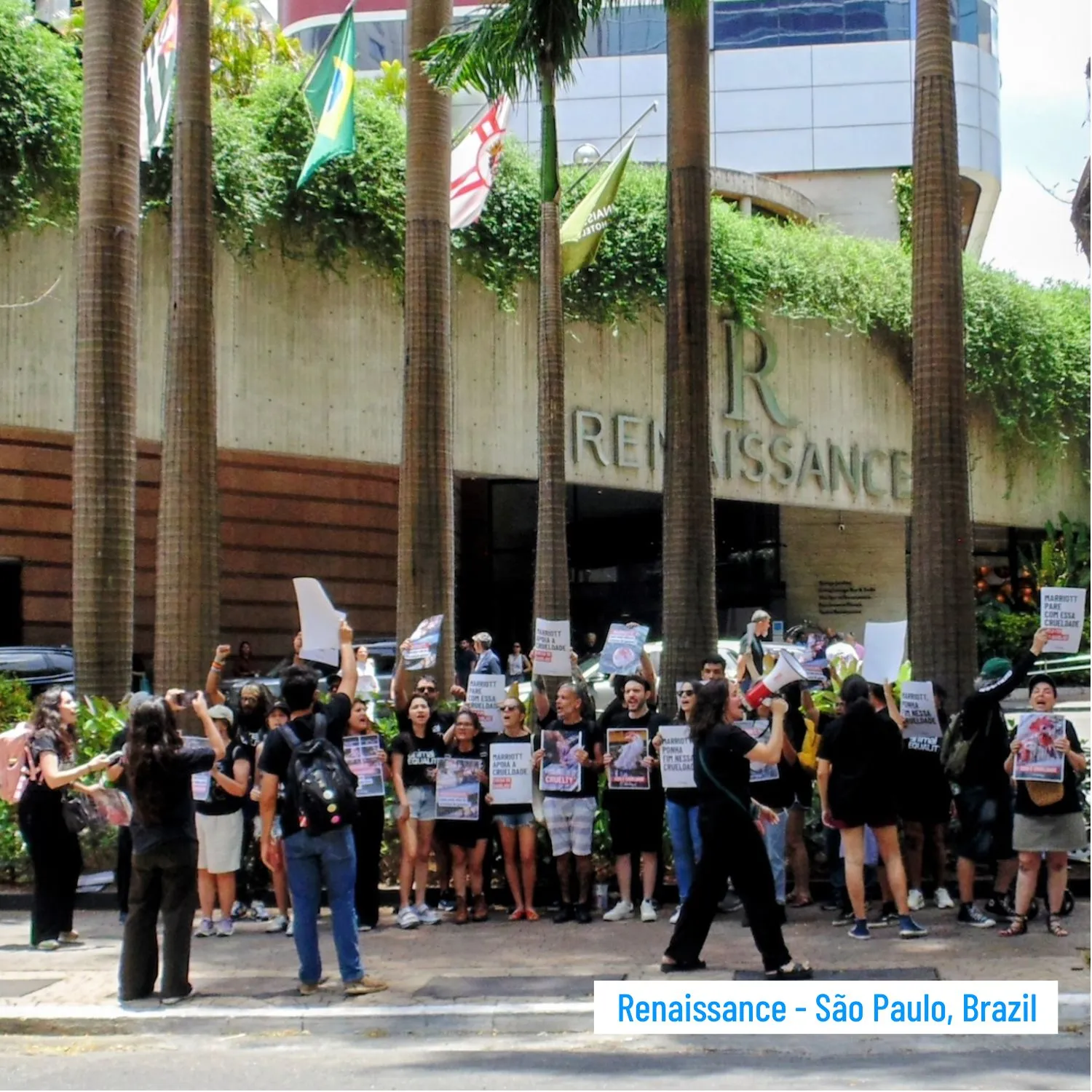 Renaissance-1500x1500