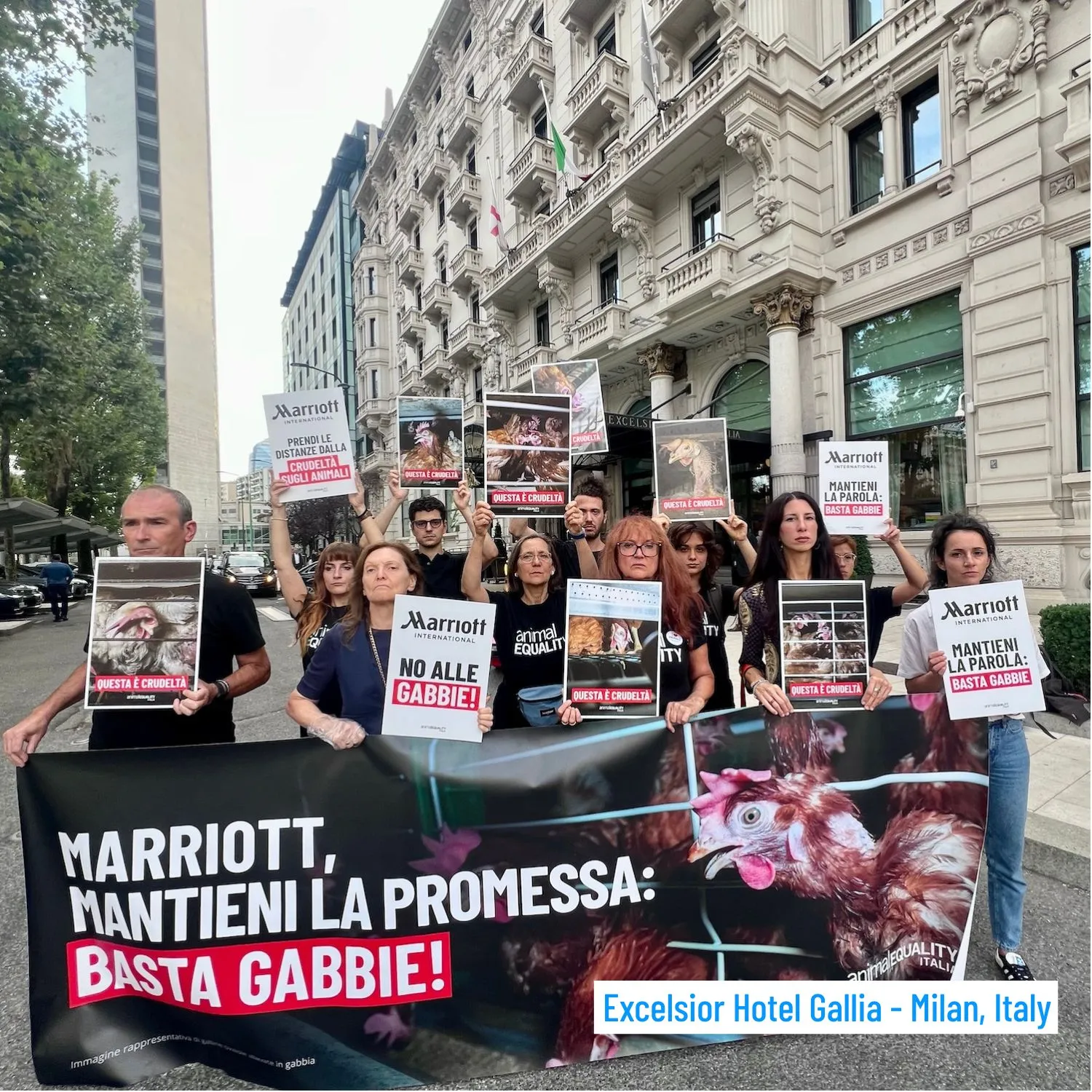 Excelsior-milan-1500x1500