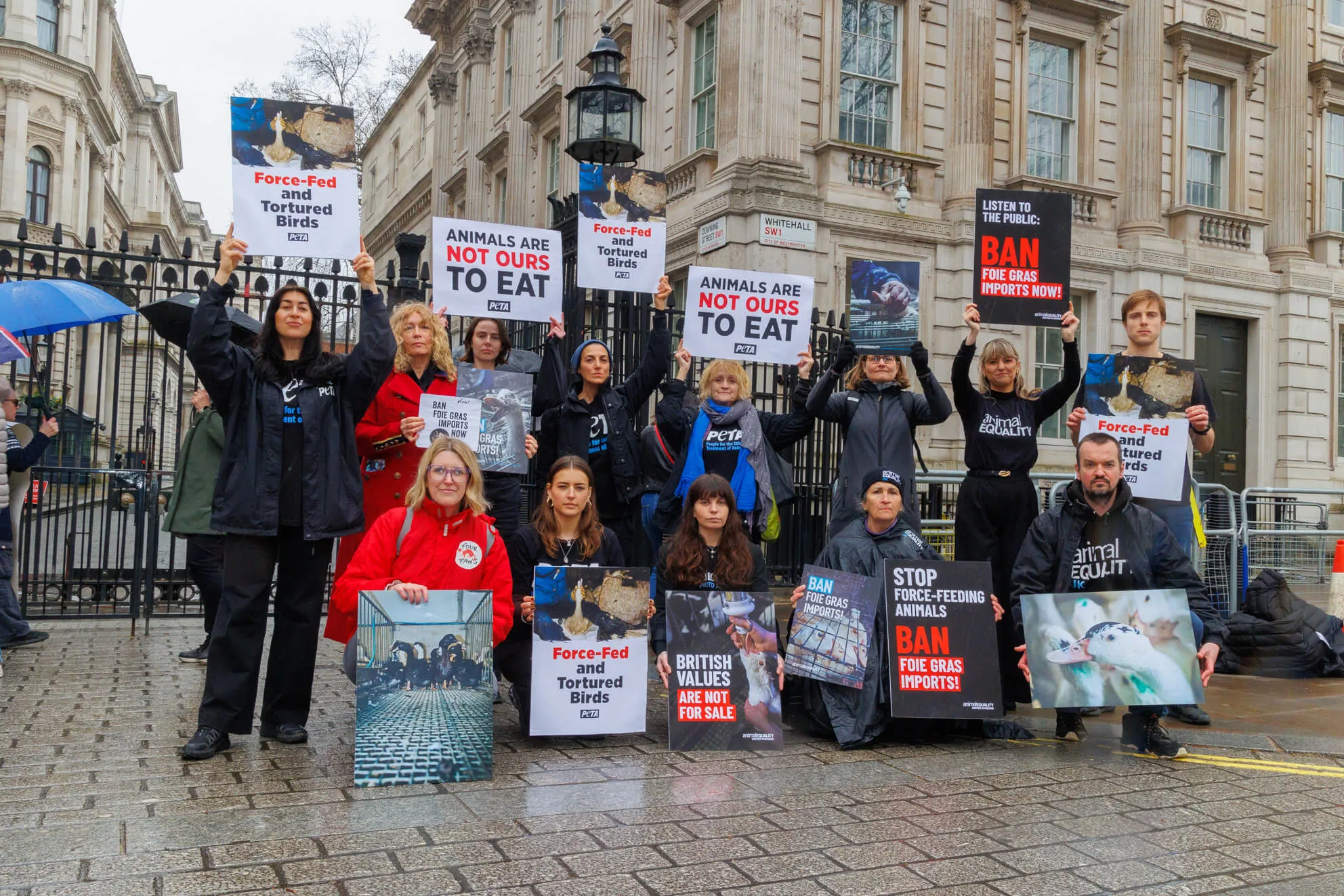 Ban foie gras imports in the UK 9