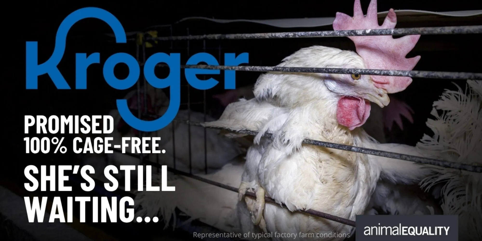 Kroger (2000 x 1000 px)