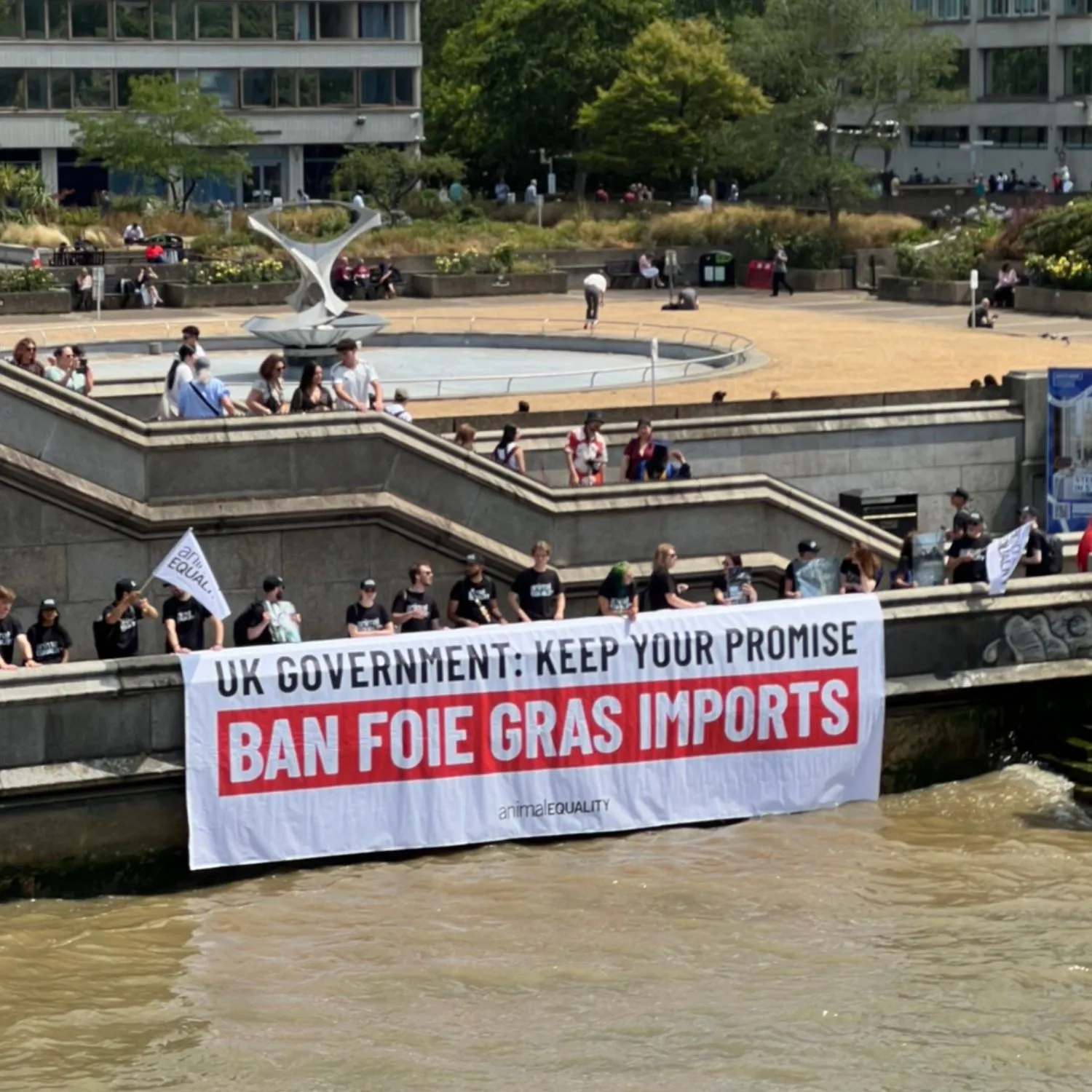 Animal activists drop giant banner on the Thames demanding foie gras import ban