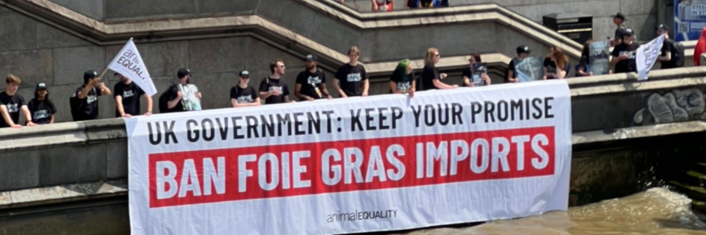 Ban foie gras banner over Thames