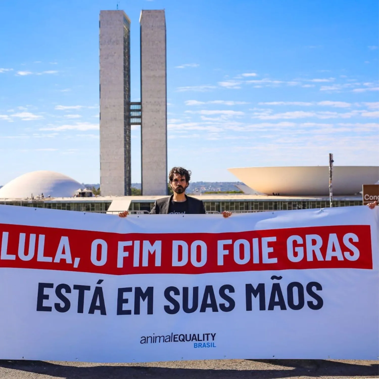 Brazil bans foie gras and becomes the first country in Latin America to prohibit the product