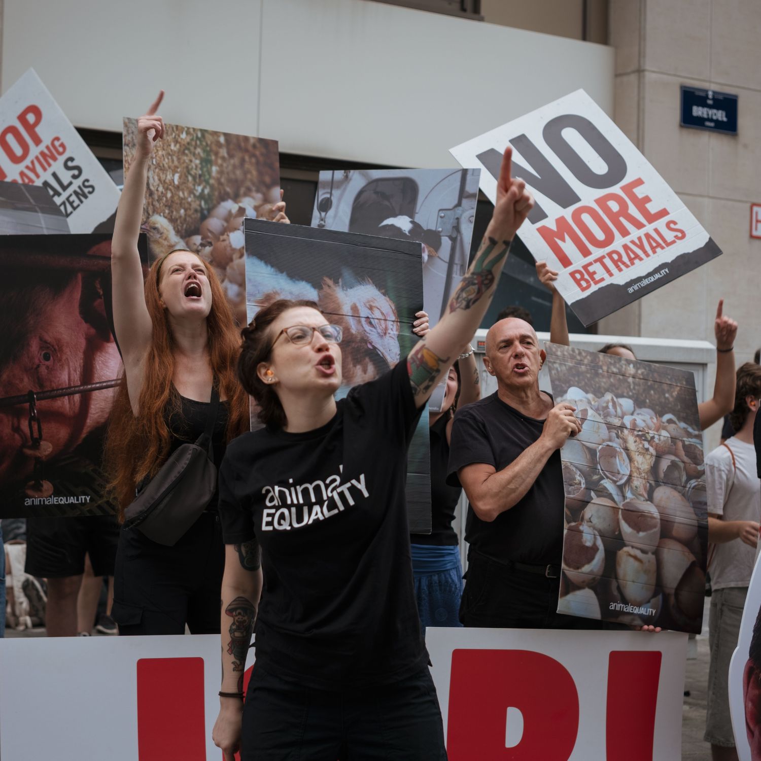 Activists protesting in Brussels