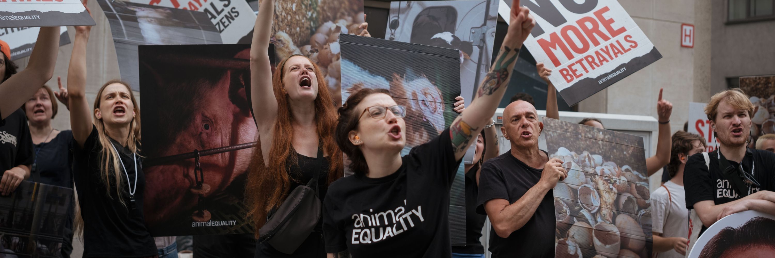 Activists protesting in Brussels