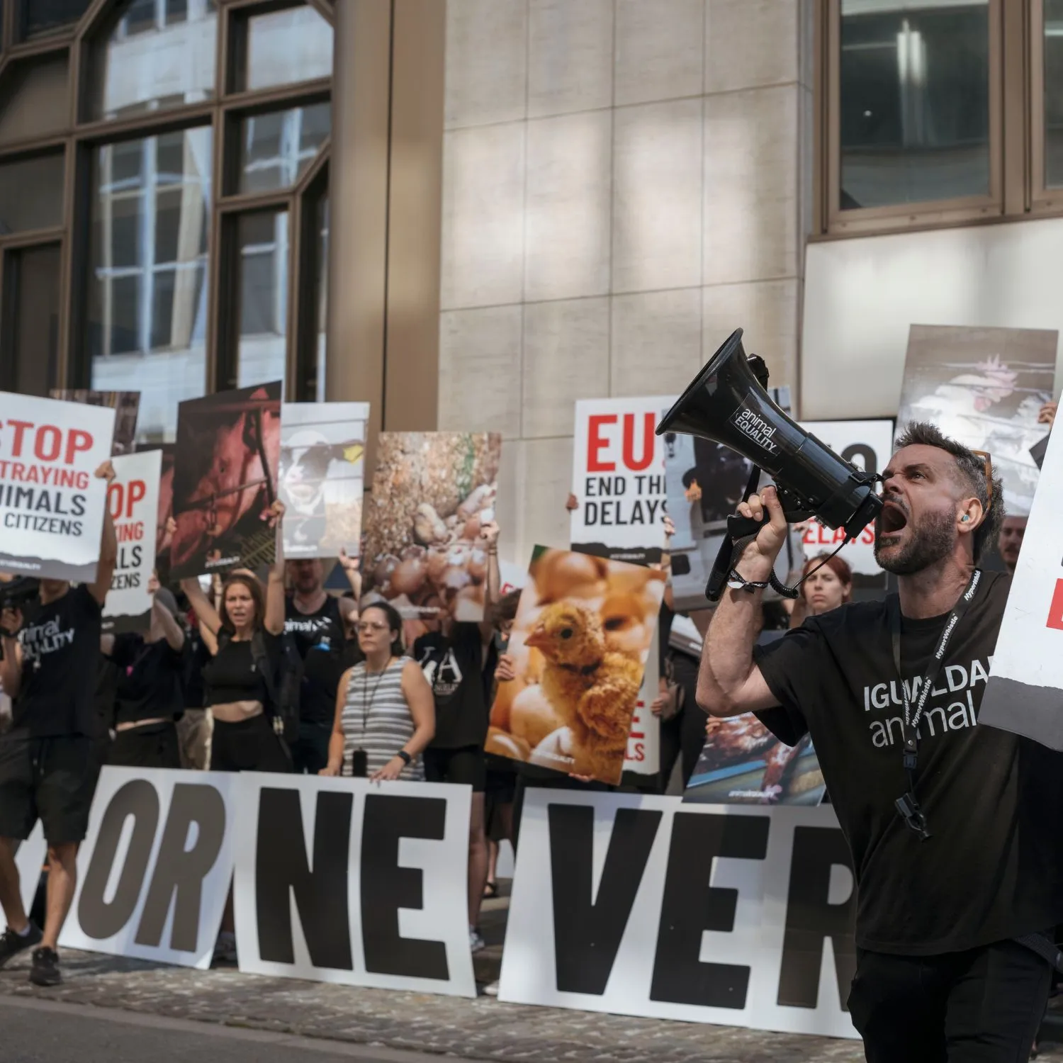 Investigation reveals factory farming industry's early access to the European Commission as new animal welfare policies took shape 1 Investigation reveals factory farming industry’s early access to the European Commission as new animal welfare policies took shape