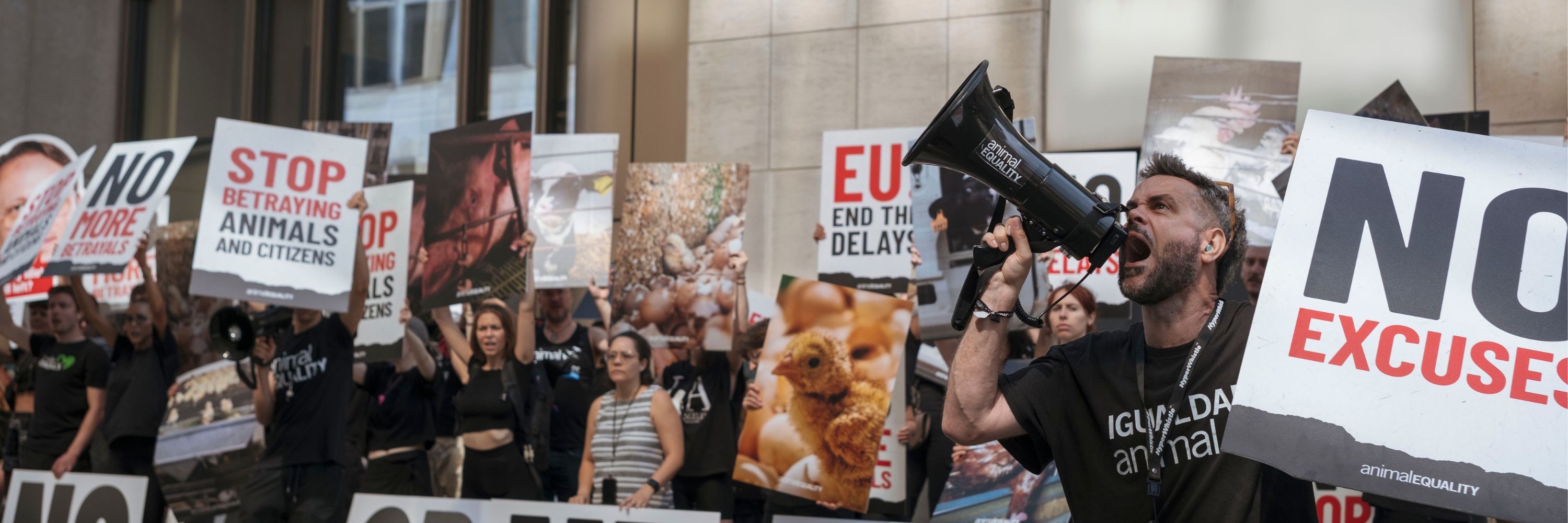 Activists protesting in Brussels