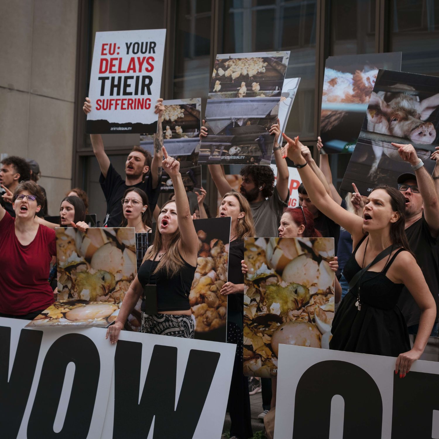 Join Us in Future Actions for Animals 2