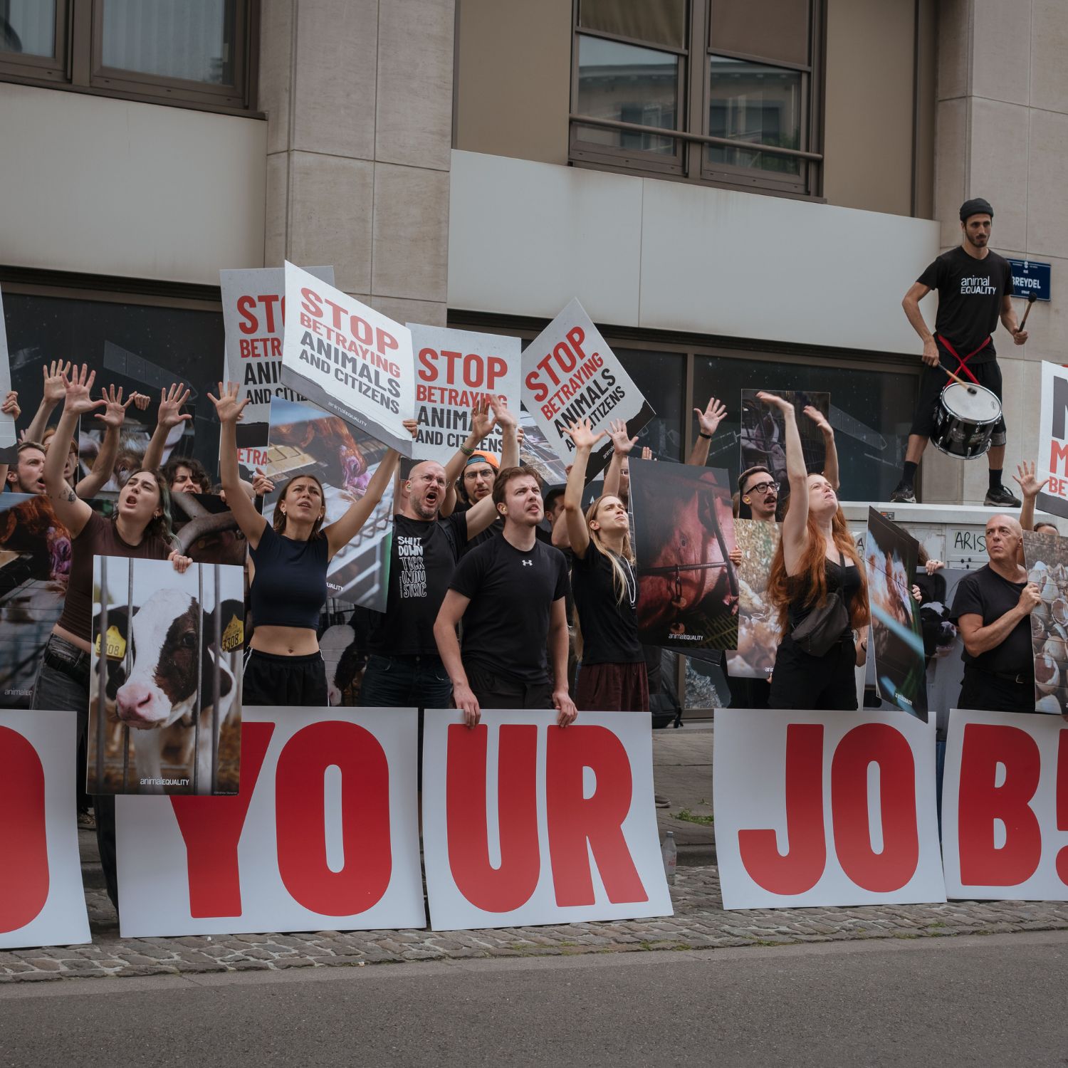Activists in brussels