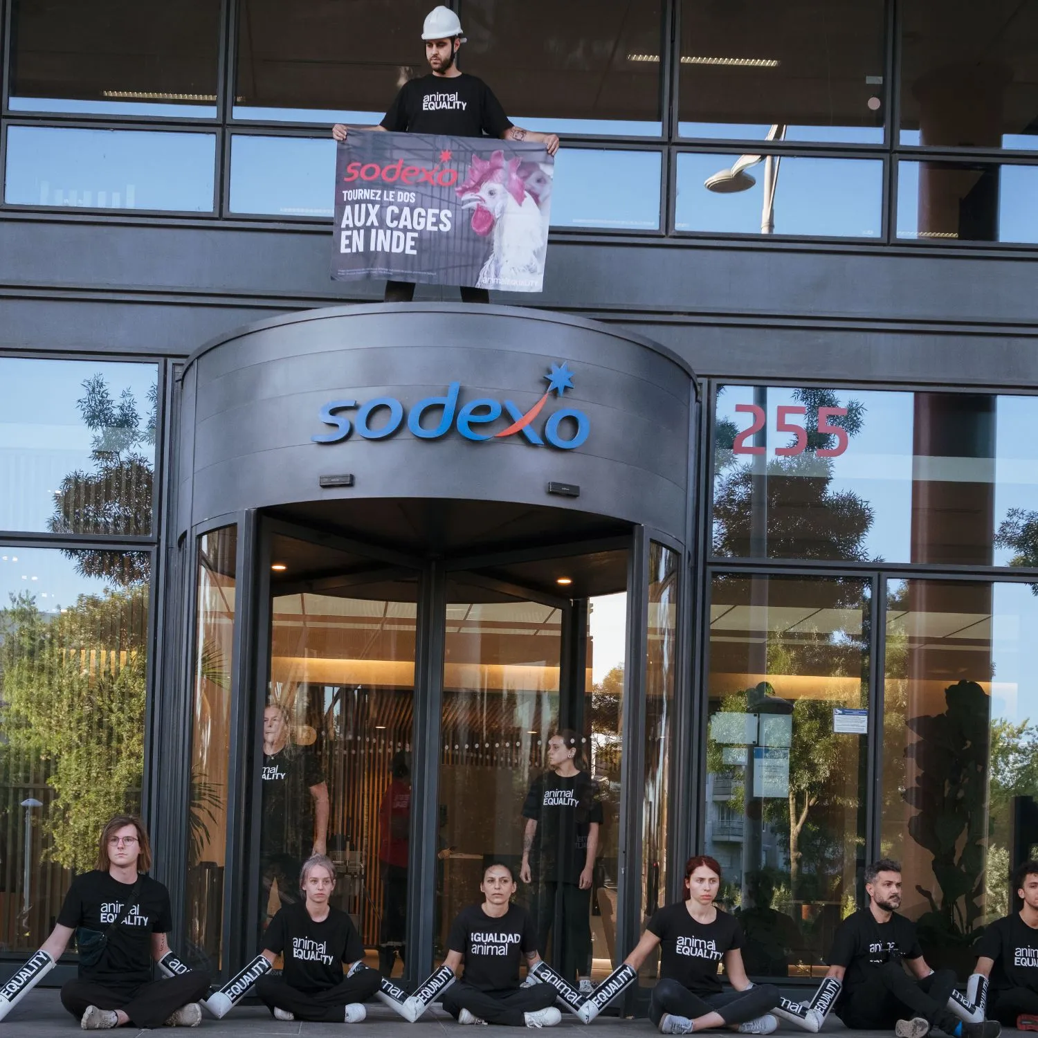 Activists end Sodexo protest after company agrees to engage on cage-free promise