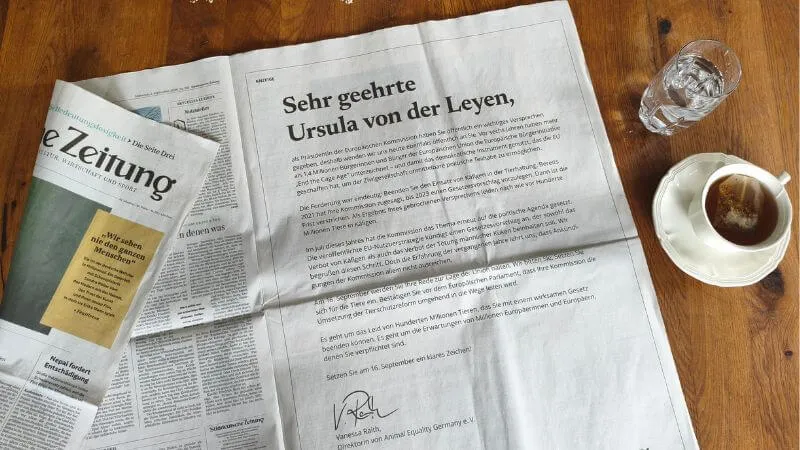 Pressure on President of the European Commission is growing in Germany 3