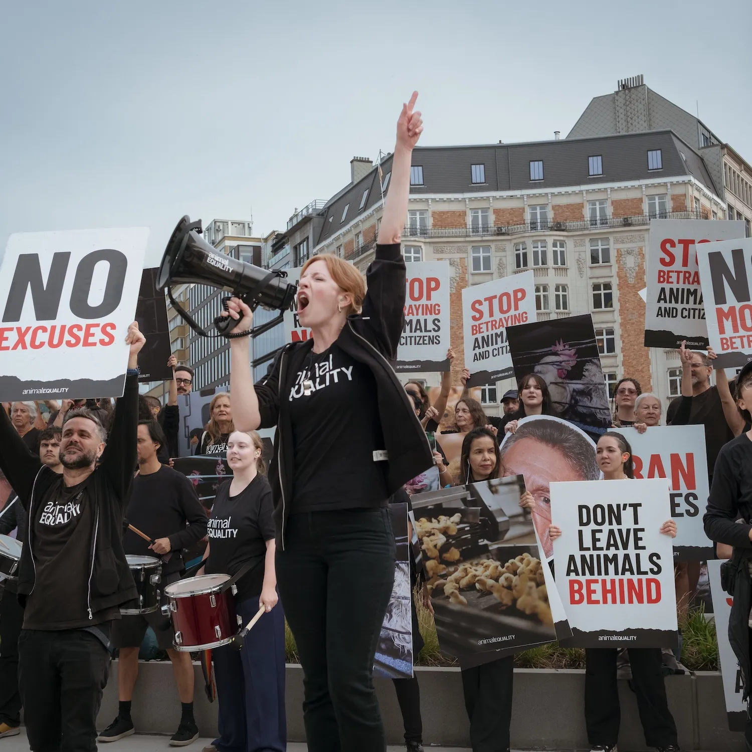 300+ activists urge EU Commission President to deliver long-awaited legislation for farmed animals